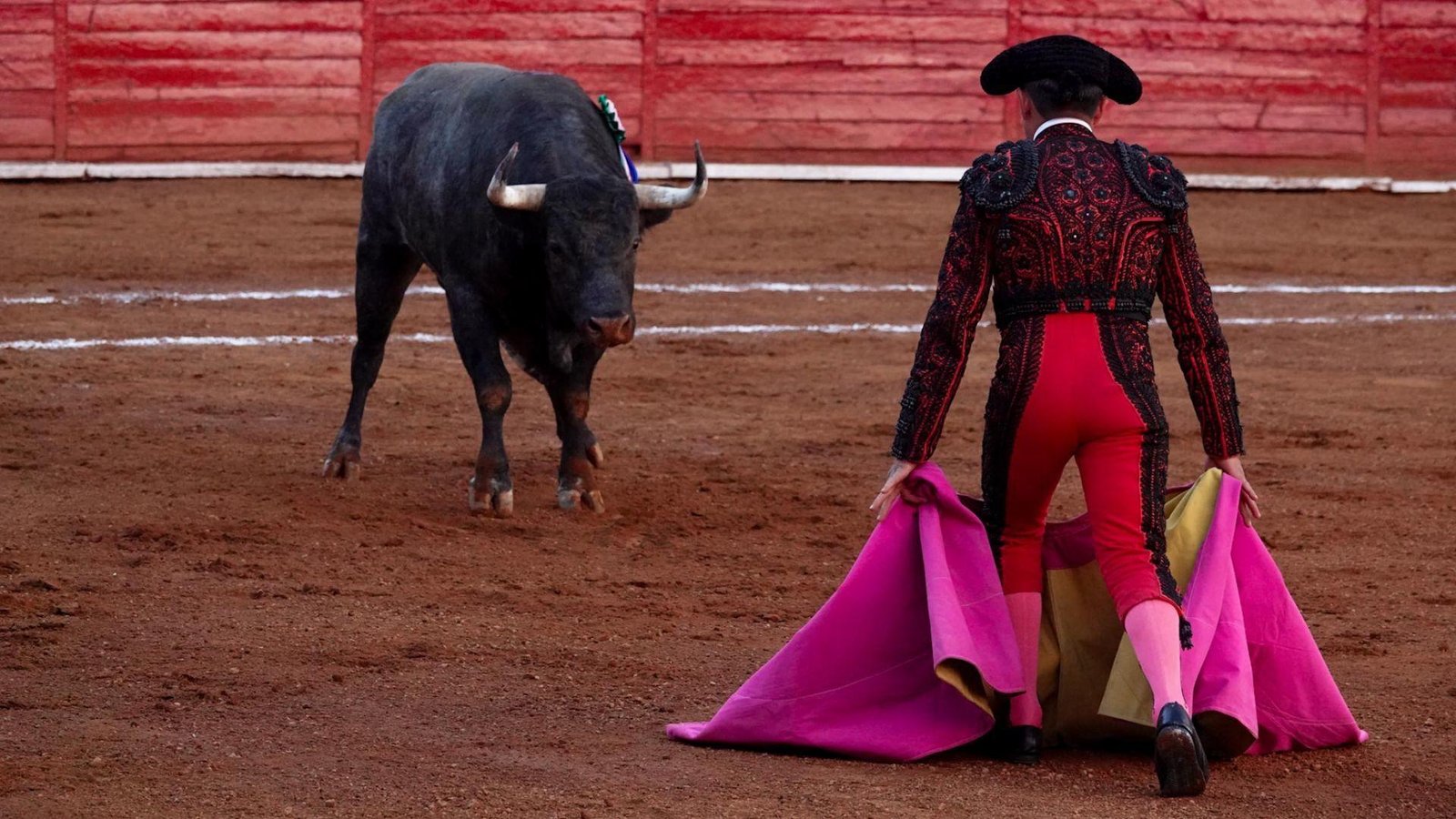 Corridas Toros Peleas Gallo Congreso Cdmx Fecha Límite Discutir y Prohibir