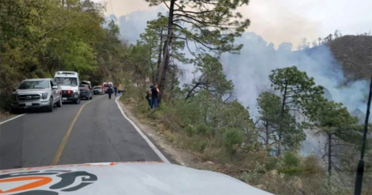 Vuelca Camioneta Tipo Van en Nuevo León; Mueren 12 Pasajeros