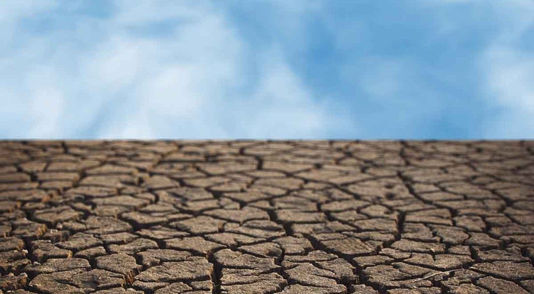 Emergencia Climática: Sequía, Un Complejo Escenario para 2025
