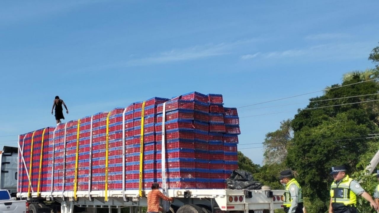 Pobladores Rapiñan Pollos de un Tráiler Estacionado en la Carretera Federal Villahermosa