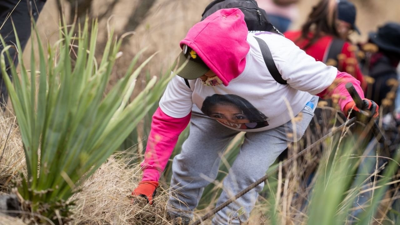 Ajustan Reformas Contra El Delito de Desaparición Con la Opinió de Colectivos de Madres y Padres Buscadores