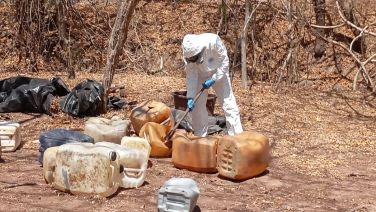 El Gabinete de Seguridad del Gobierno de México Informa los resultantes de la “operación de la frontera” El Día 6 de Mayo de 2025