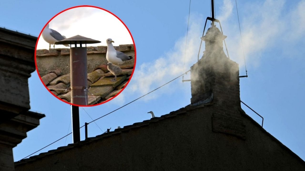 Nuevo Papa: ¿Es la Sagrada Familia? Tres Gaviotas conmueven en fumata blanca