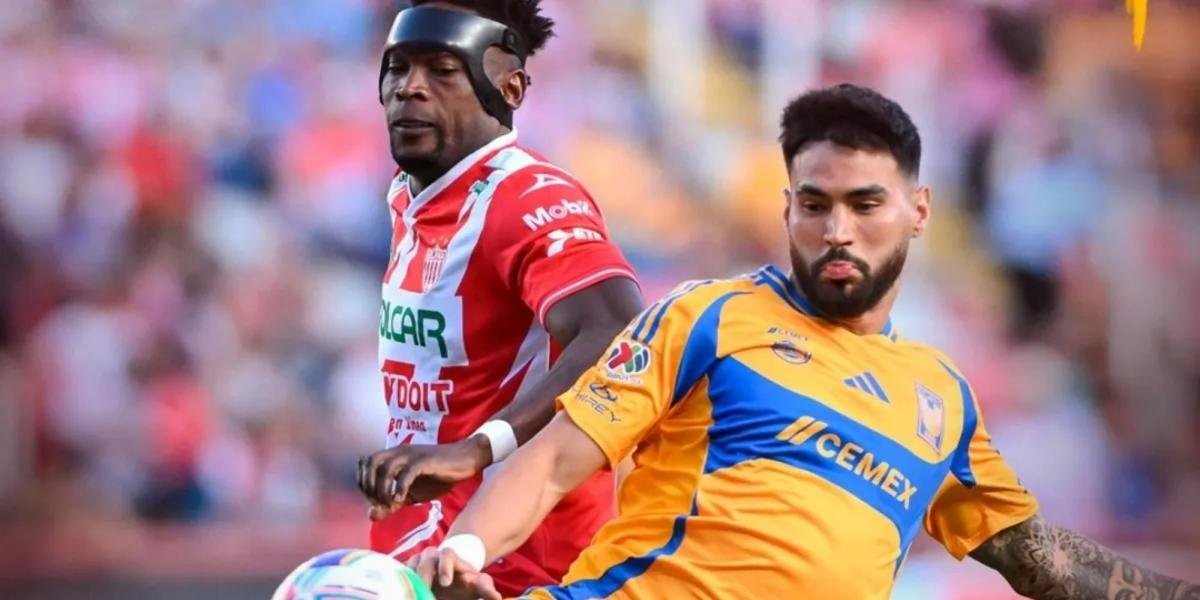 NECAXA VA POR SU ÚLTIMO OPORTUNIDAD; Tigres apela una su experiencia