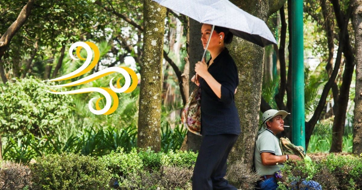 Ni Salgas: Heno alerta Amarilla en la Cdmx por Fuerta Rachas de Viento en Estas Alcaldías