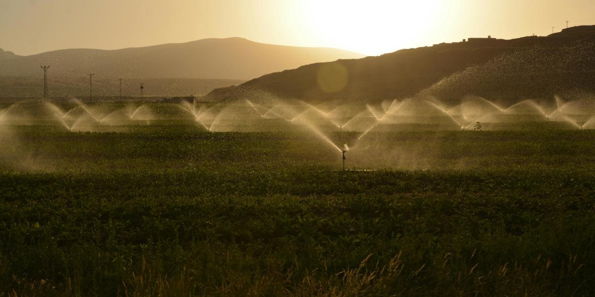 Sin Agua No Hay Comida: México USA 475,000 Millones De M³ Al Año, 90% Va Al Agro e Industria