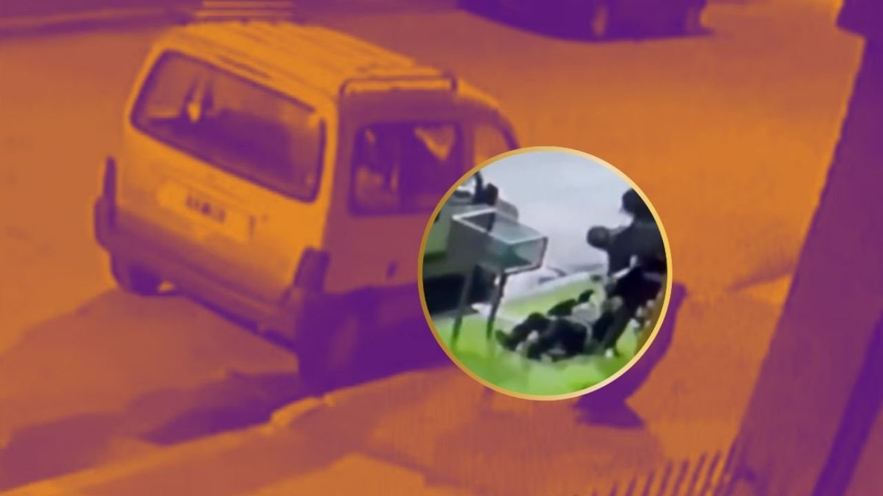 Ratos Arrastran A Anciana de 90 Años que se Aferro A Un Bote de Basura | VIDEO
