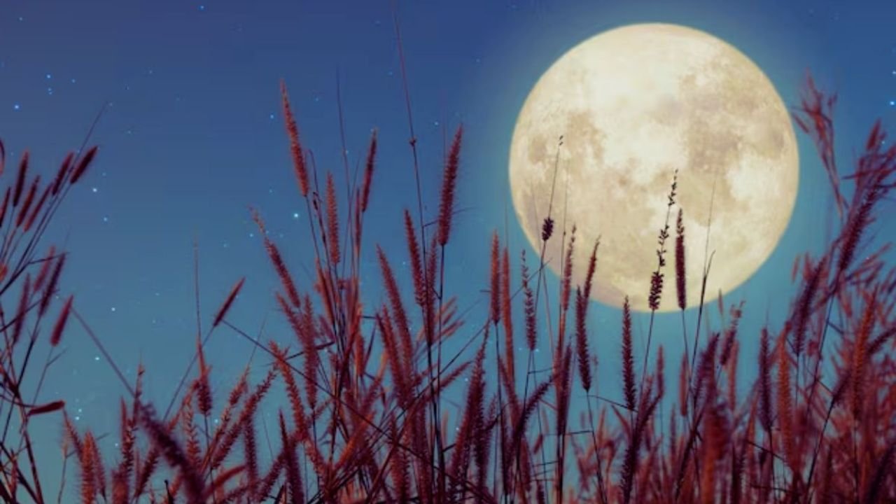 ¿Qué cosas no debes hacer durante la luna de maíz este 7 de septiembre para evitar Atraer la Mala SUTE?