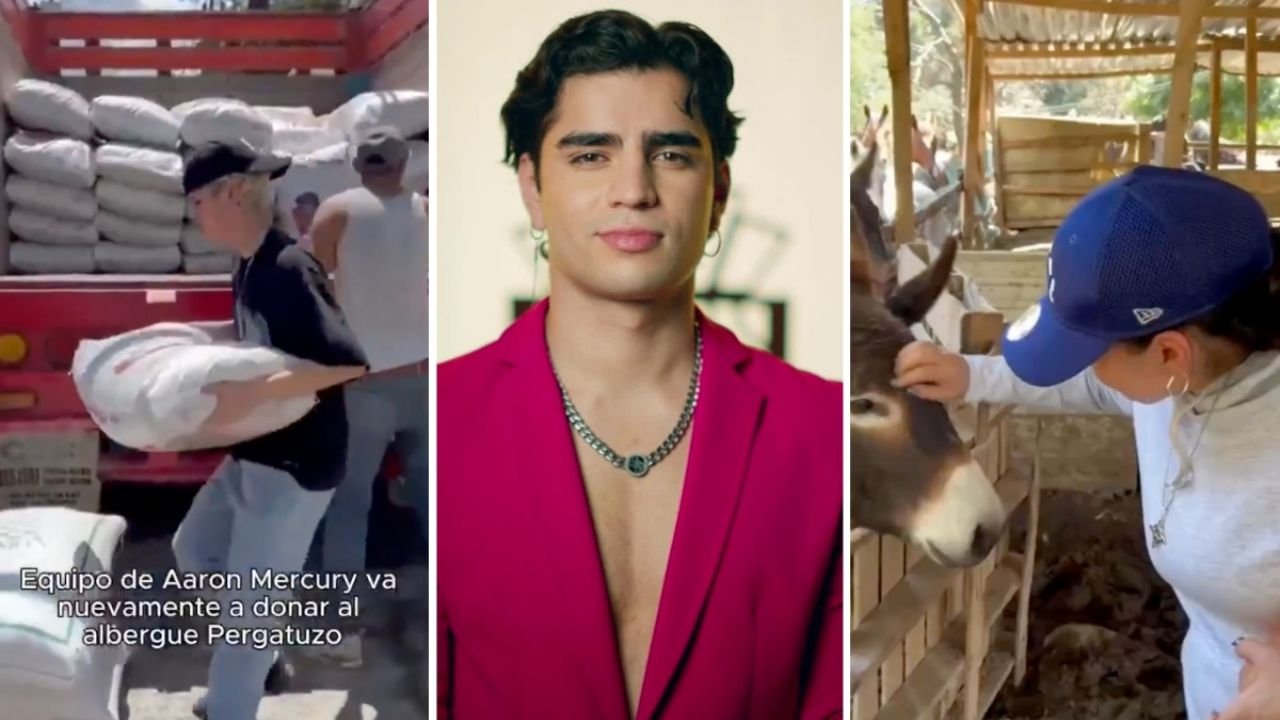 Aarón Mercury Vuelve A Donar Comida Al Albergue Pergatuzoo, en Agradecimento le Regalan Crema de Avellana