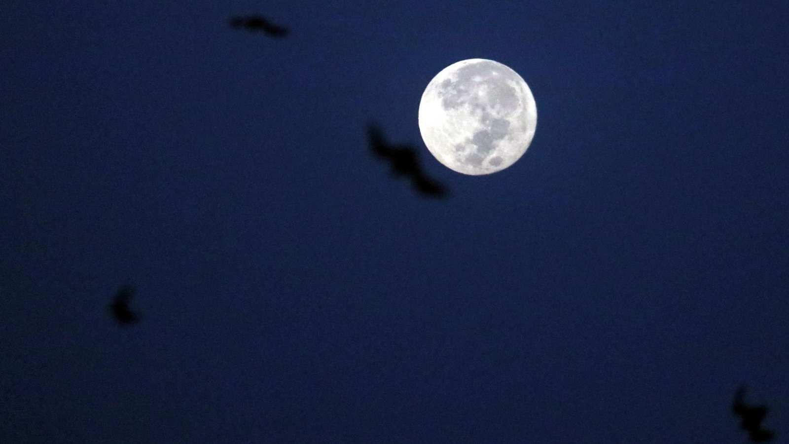 ¿A Qué Hora es el Punto Máximo para Ver la Superluna Hoy Miércoles 5 Noviembre 2025 en México?