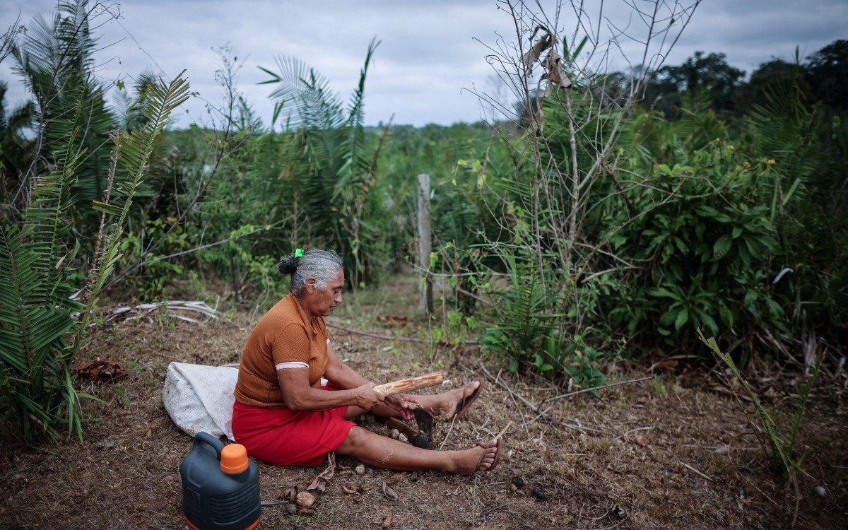 La naturaleza es política | Artículo de Ross Barrantes