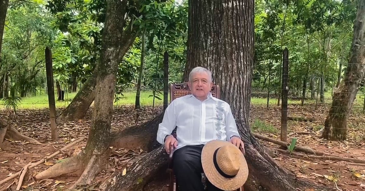 Entre caminatas y pozol: Así es la vida de AMLO, jubilado de la política, en su finca de Palenque