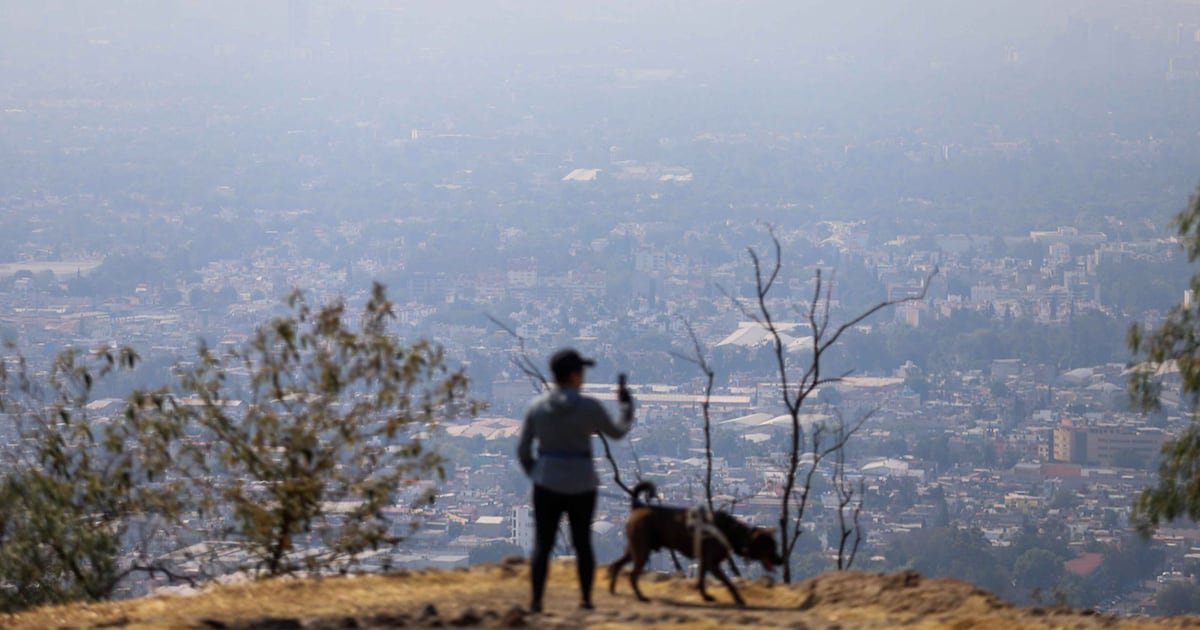 ¿Regresará el Doble Hoy No Circula? Esta es la calidad del aire en CDMX y Edomex HOY 18 de febrero