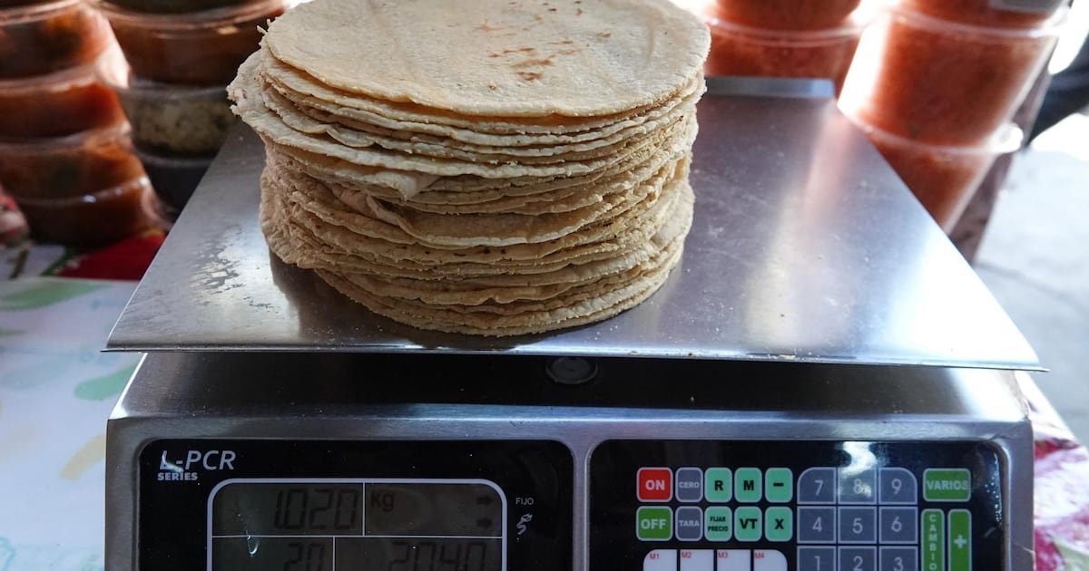 ‘Subirá entre 2 y 4 pesos’: ¿A partir de cuándo aumentará el precio del kilo de tortilla en México?