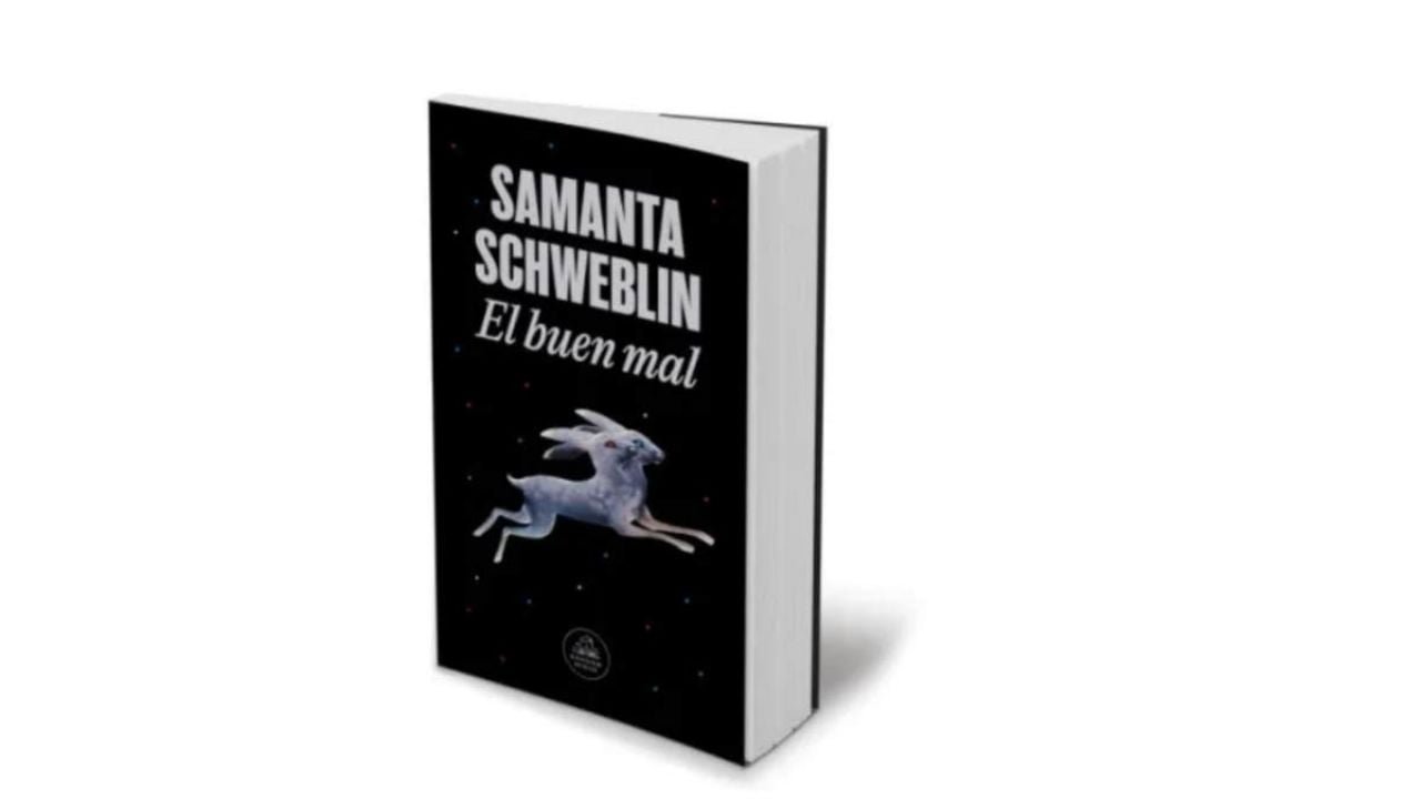 Recomendación literaria: El Buen Mal de Samanta Schweblin, un libro que descoloca al lector