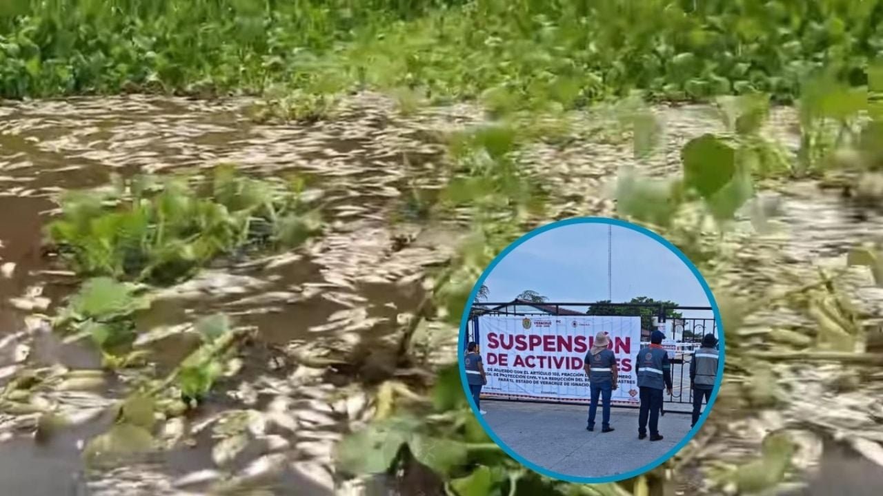 Clausuran alcoholera de Nopaltepec tras muerte masiva de peces en Veracruz