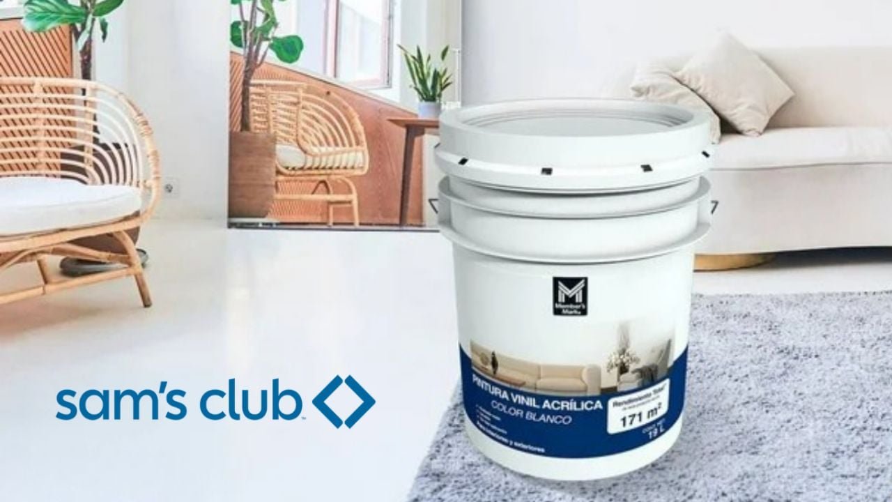 Sam’s Club rebaja pintura Vinil acrílico Member’s Mark de 19 litros: con excelente recubrimiento y fácil aplicación